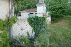 P1110562