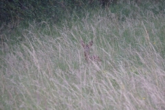 P1110684
