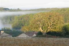 La Petite Aubue