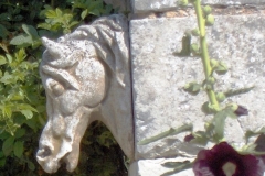 foto4