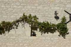 P1050974